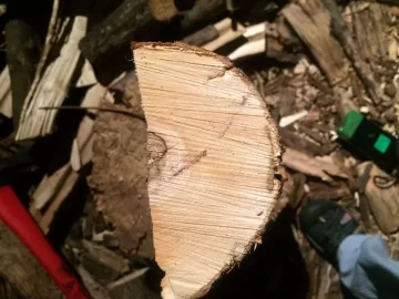 [Hearth.com] ID This Wood