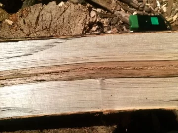 [Hearth.com] ID This Wood
