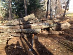 Log length wood in CT