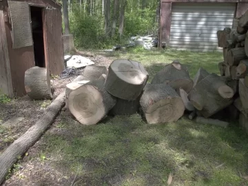 [Hearth.com] Oak score.