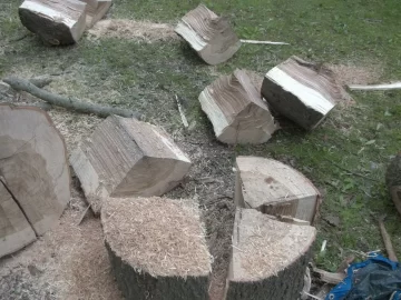 [Hearth.com] Oak score.