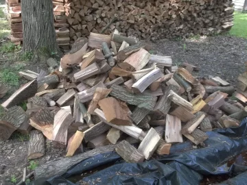 [Hearth.com] Oak score.