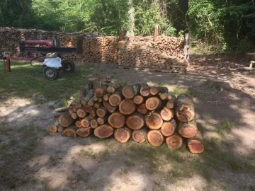 [Hearth.com] Back on the cherry today