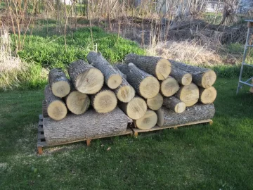 [Hearth.com] My 10" firewood solution