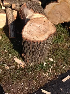 [Hearth.com] Wood ID.