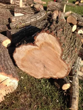 [Hearth.com] Wood ID.