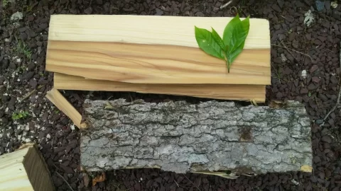 [Hearth.com] Hickory?