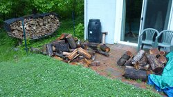 Any worry with burning red oak?