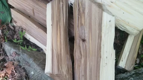 [Hearth.com] Hickory?