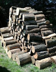 Working on my log pile!