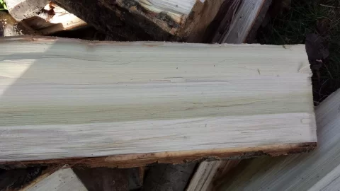 [Hearth.com] wood ID