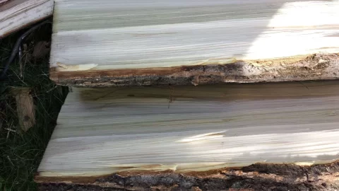 [Hearth.com] wood ID