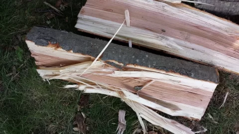 [Hearth.com] wood ID