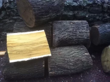 [Hearth.com] Wood ID, please and thanks......