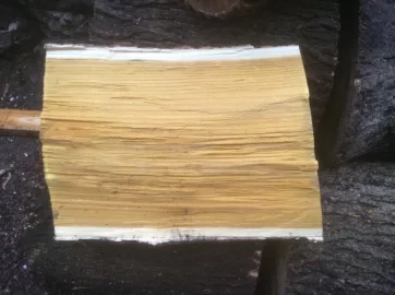 [Hearth.com] Wood ID, please and thanks......