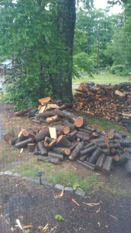 [Hearth.com] wood ID