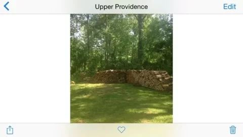 [Hearth.com] Surprisingly good scrounges at the local compost sites so far