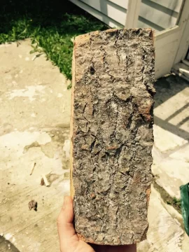 [Hearth.com] Wood ID help