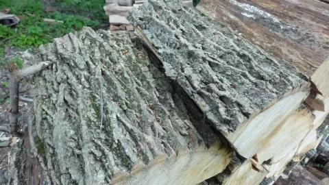 [Hearth.com] Wood ID help