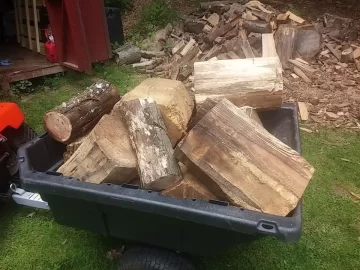 [Hearth.com] I'm scrounging in my own yard
