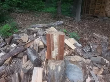 [Hearth.com] I'm scrounging in my own yard