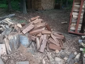 [Hearth.com] I'm scrounging in my own yard