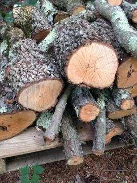 [Hearth.com] Wood ID please