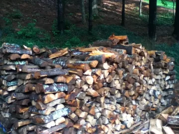 The Wood Pile