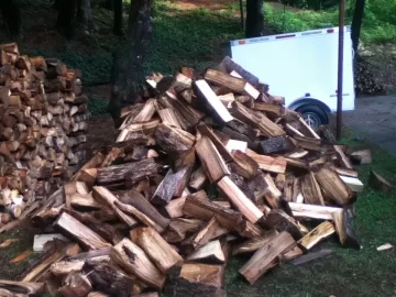 The Wood Pile