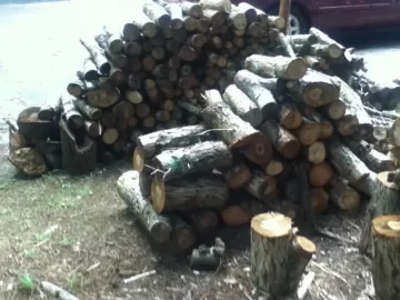 The Wood Pile