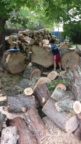 [Hearth.com] Tree Job +