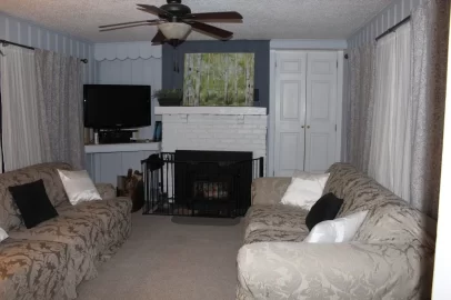 [Hearth.com] Wood Stove or insert