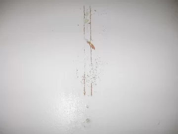 drywall1.jpg drywall1.jpg