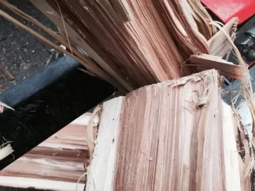 [Hearth.com] Wood Id - Black Walnut or Butternut?