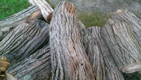 [Hearth.com] Wood ID NJ