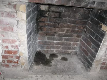 [Hearth.com] What fireplace door to use