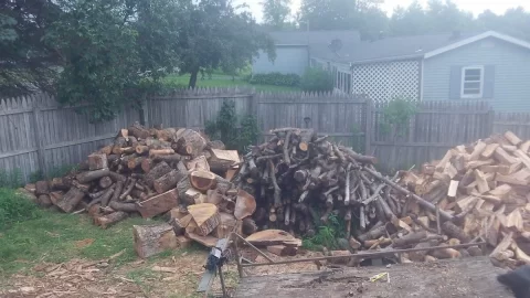 [Hearth.com] Get Wood for Free