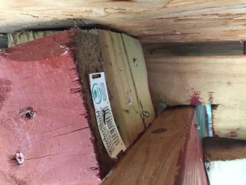 [Hearth.com] The wood fought back