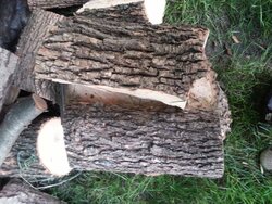 wood id.