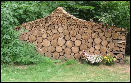 [Hearth.com] Black Locust stacked in rounds for 2-3 years... possible regrets?