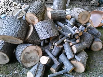 [Hearth.com] What type of maple?