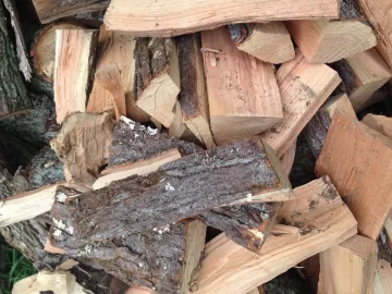 [Hearth.com] Wood ID please