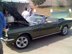 Cool Mustang conversion