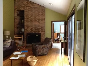 [Hearth.com] New house, two chimneys, wood stove vs. insert