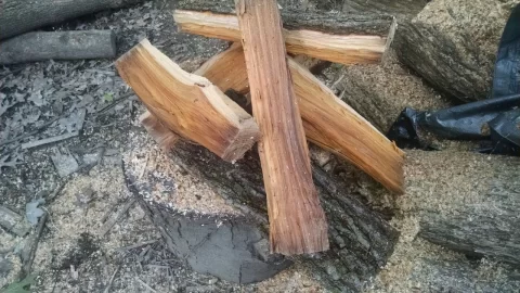 [Hearth.com] Wood id.  Siberian elm.