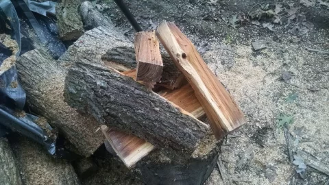 [Hearth.com] Wood id.  Siberian elm.