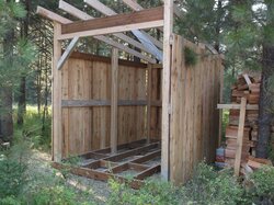 Shed build