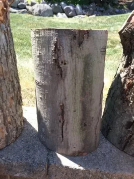 [Hearth.com] Another Wood ID from Southern CT