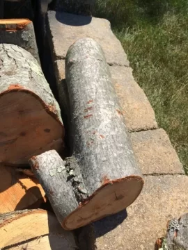 [Hearth.com] Another Wood ID from Southern CT