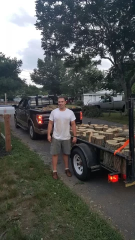 [Hearth.com] Black locust jackpot!